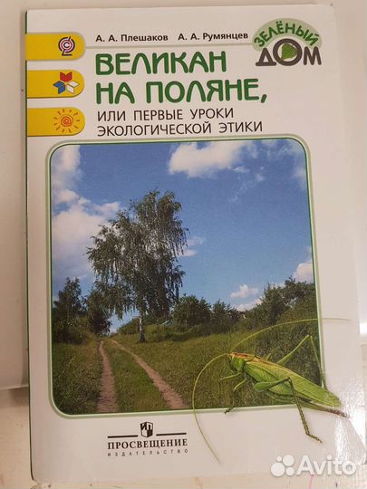Великан на поляне, или первые уроки экологическ