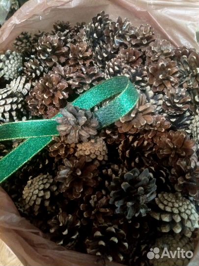 Шишки еловые и сосновые,для поделок