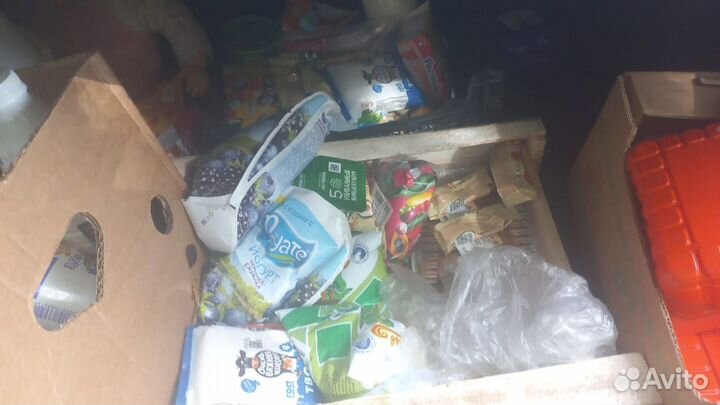 Быстрый корм для Животным