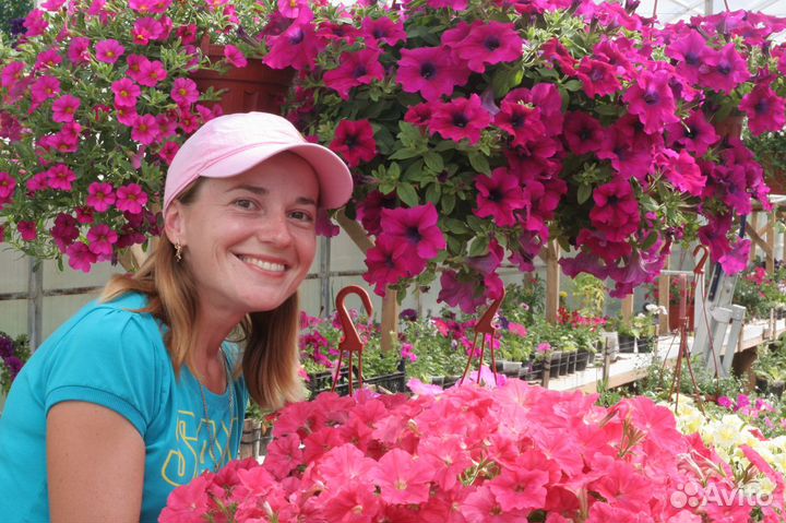 Рассада цветов