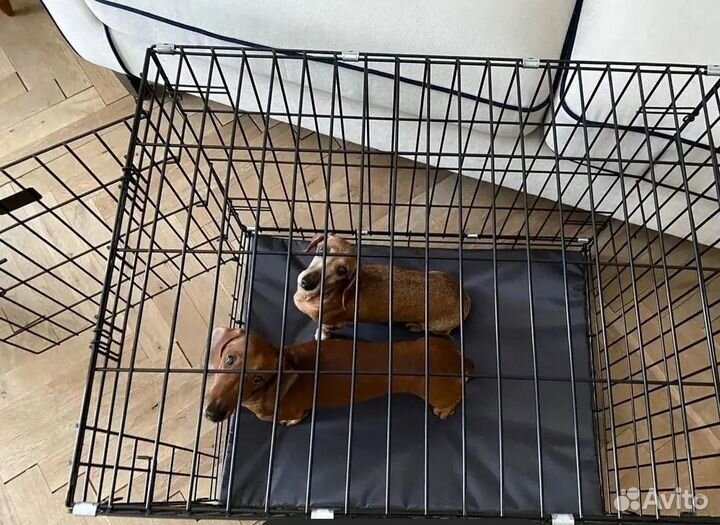 Клетки для собак