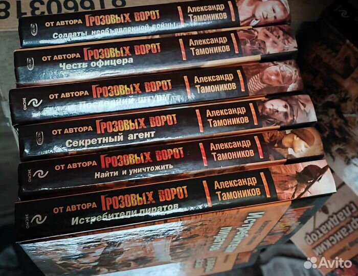 Грозовые ворота. Серия Спецназ