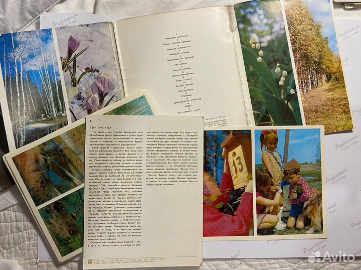 Наборы открыток