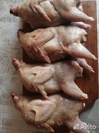 Мясо перепелов