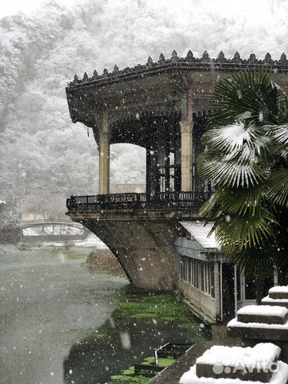 Автобусный экскурсионный тур в Сочи на нг из Ижевс