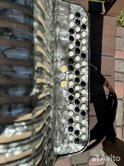 Баян weltmeister