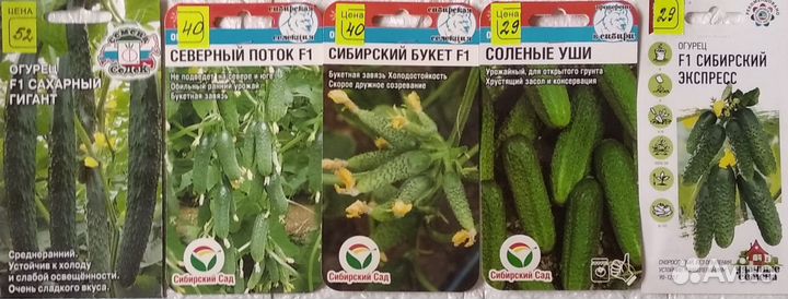 Семена огурцов,моркови,перца