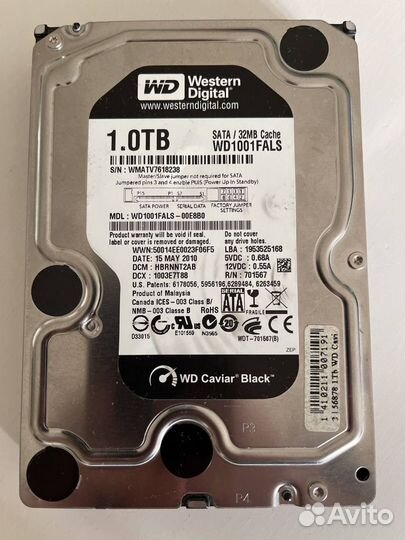 Western Digital Caviar Black 1 Тб WD1001fals