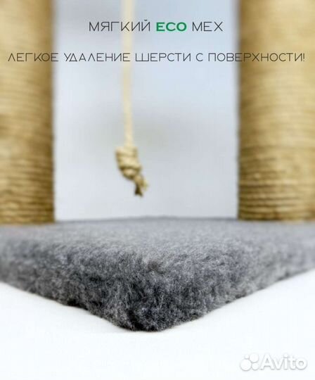 Когтеточка