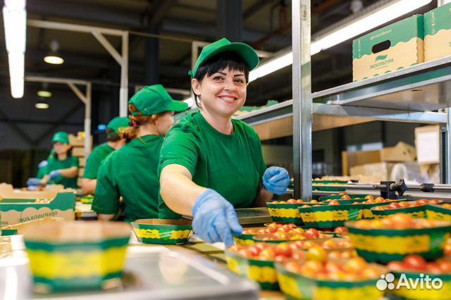 Вахта в Москве 15/15 - 3500, Упаковщик на склад