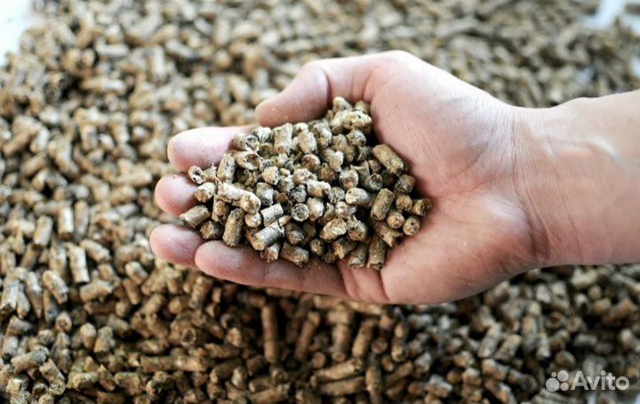 Жом свекловичный