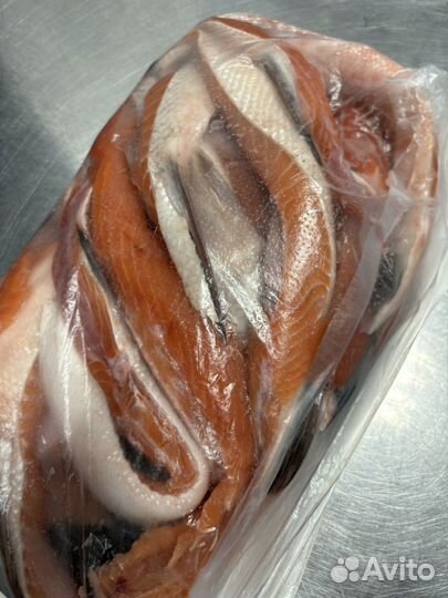 Кета брюшки