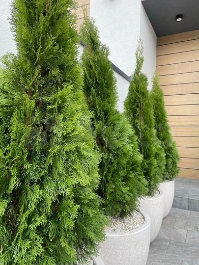 Коттедж 220 м² на участке 8 сот.