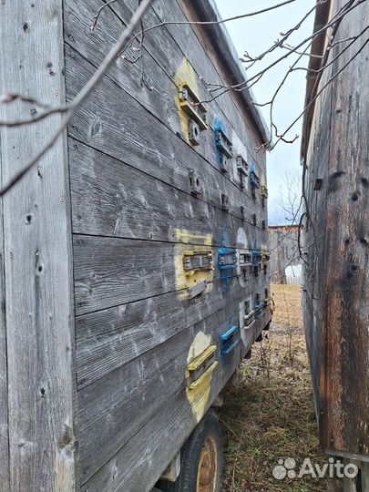 Вагончики для выездной пасеки