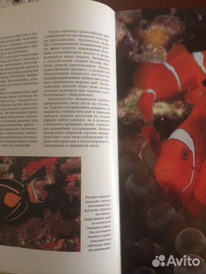 Книга «Аквариумные рыбки»