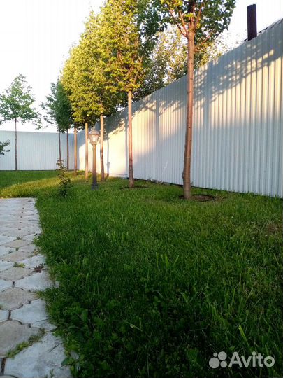 Покос травы