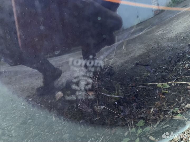 Стекло заднее Toyota Cresta GX90/JZX90/LX90