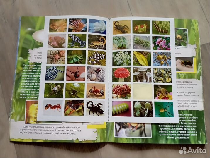 Энциклопедия