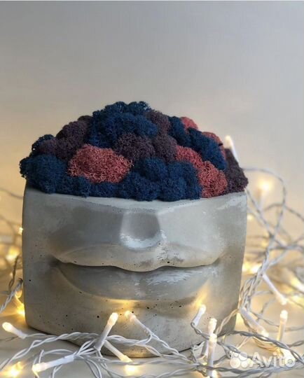 Кашпо губы из бетона со стабилизированным мхом