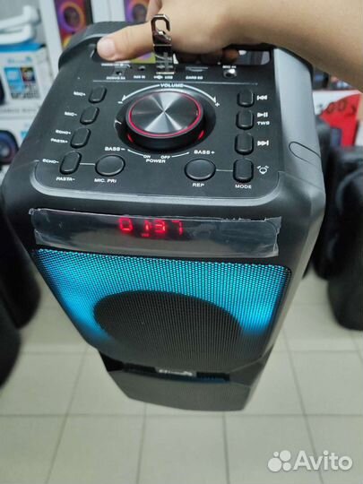 Колонка Eltronic 20-54