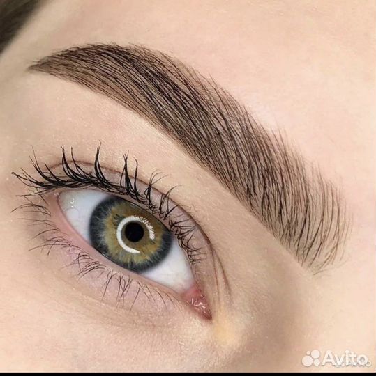 Мастер бровист