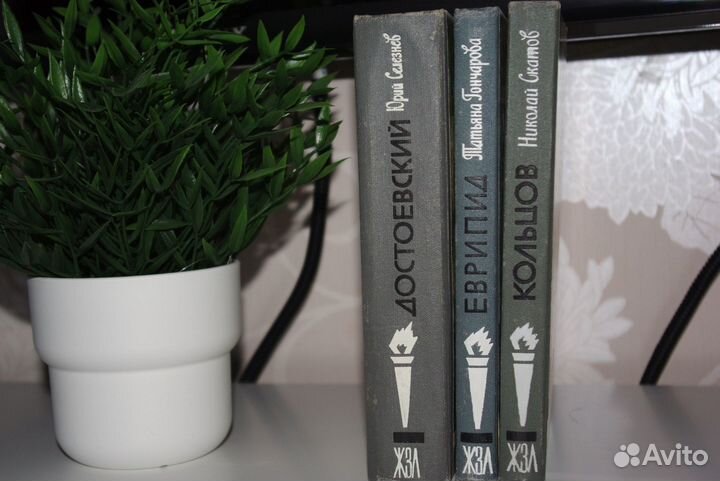 Книги серии жзл