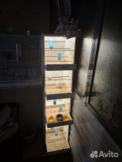 Клетка бокс для птиц