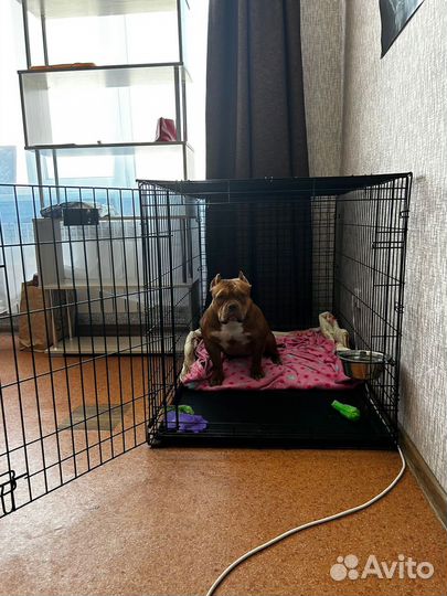 Вольер для собак