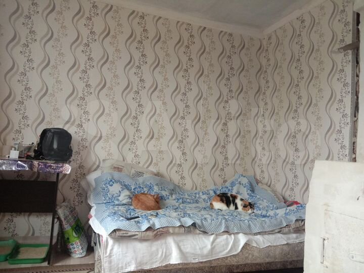 4-к. квартира, 63,7 м², 1/1 эт.