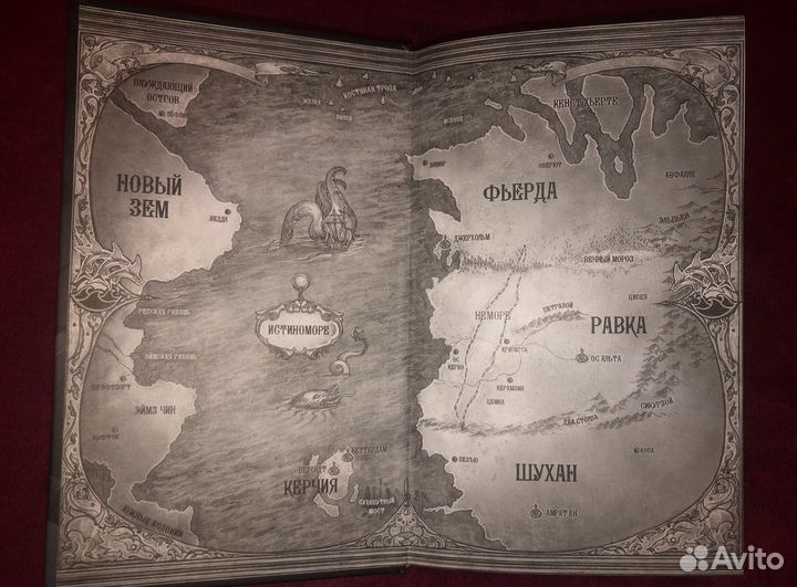 Книга «Штурм и Буря»