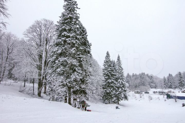 Участок 80 сот. (СНТ, ДНП)