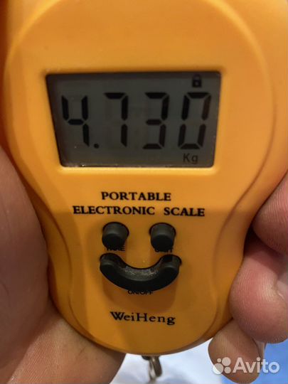 Орех грецкий