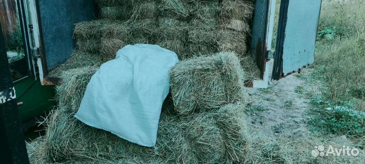 Сено луговое в тюках 2024