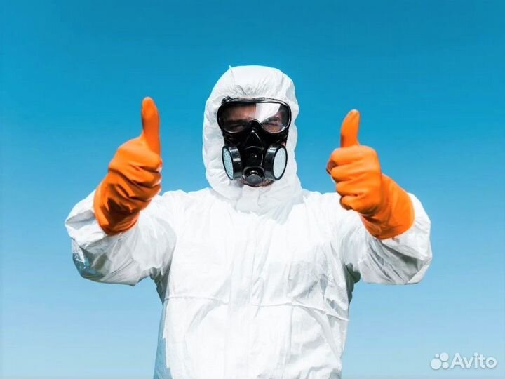 Уничтожение насекомых, грызунов, вирусов