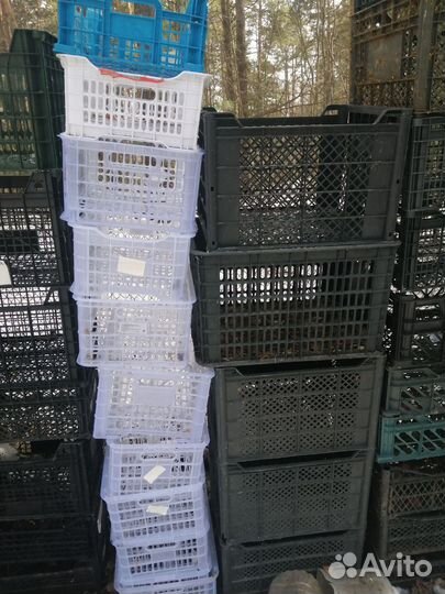 Пластиковые ящики для хранения