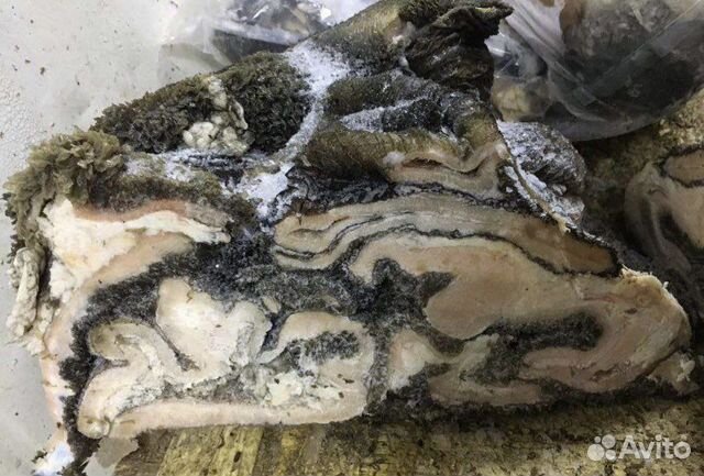 Субпродукты говяжьи купить в Уфе | Товары для дома и дачи | Авито