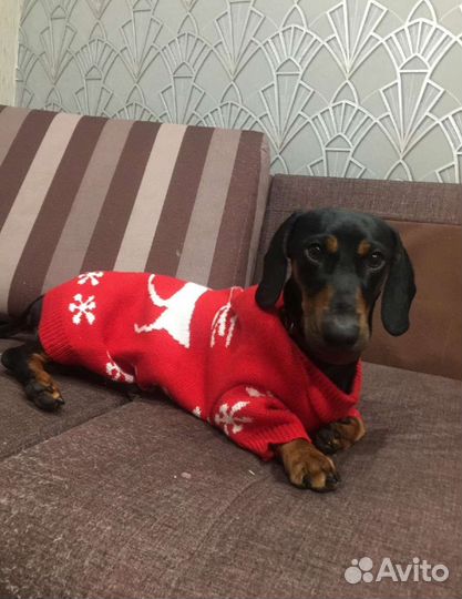 Такса вязка