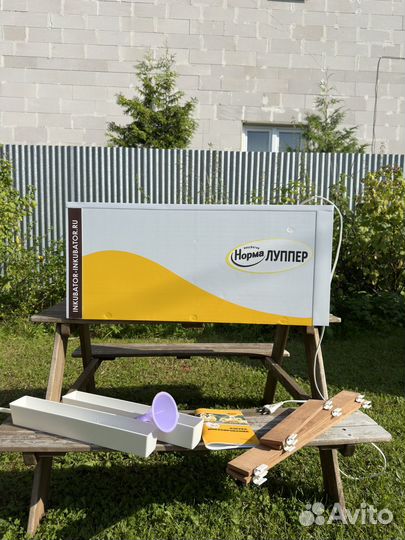 Инкубатор для яиц автоматический норма луппер