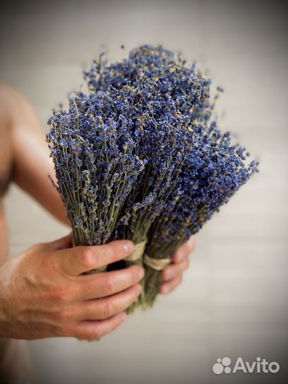 Лаванда в пучках, сухоцвет