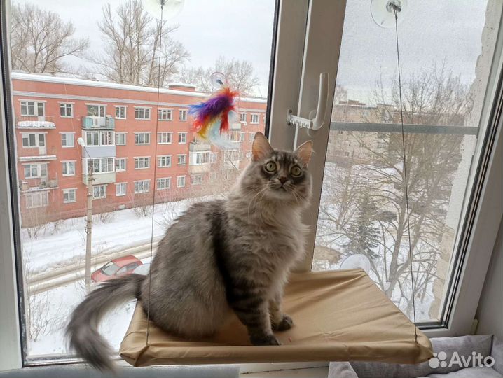 Гамак для кошек на окно