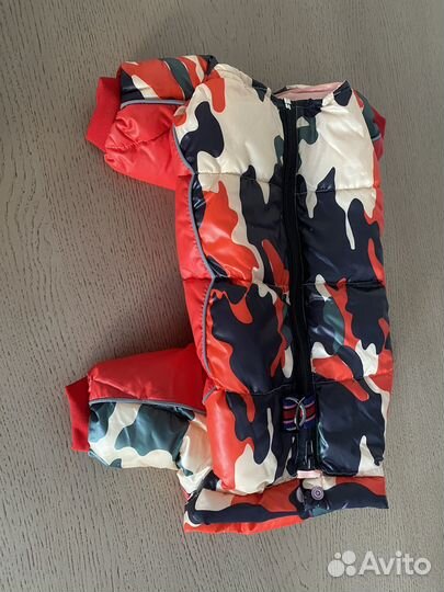 Одежда (зимний костюм, комбенизон) для собак