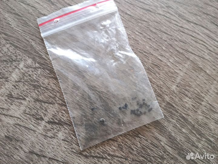 Катарантус семена