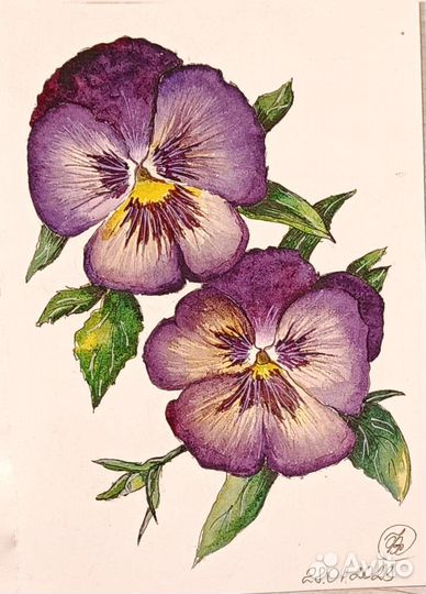 Картина акварель Анютины глазки