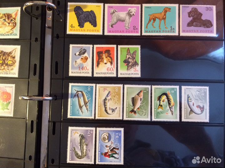 Марки старые, фауна, спорт, подборка