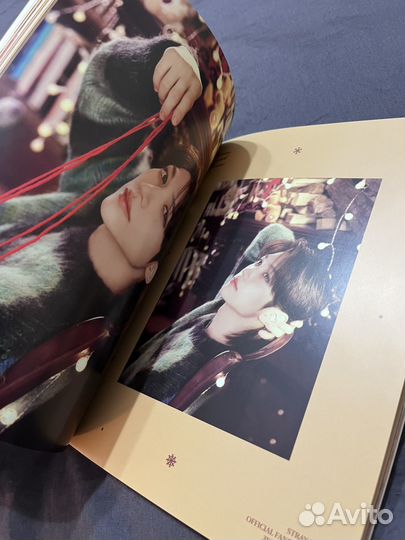 Stray Kids мембершип фотобук