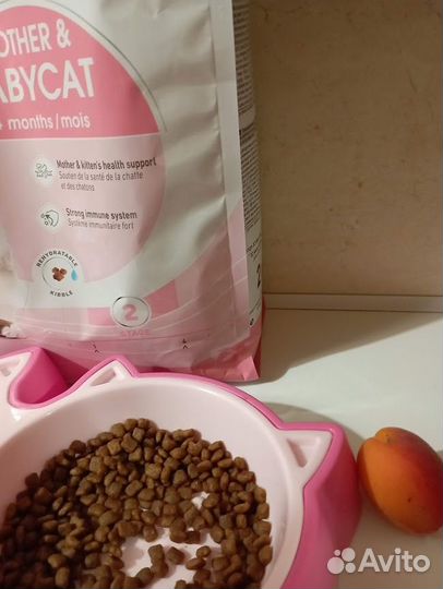 Royal Canin сухой корм для кошек