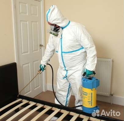 Дезинфекция от клопов, тараканов, муравьёв