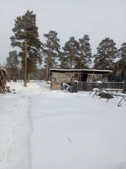 Дом 60 м² на участке 30 сот.