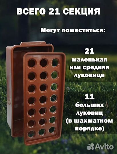 Контейнеры для выращивания лука