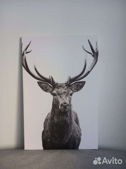 Картина под икеа Олень